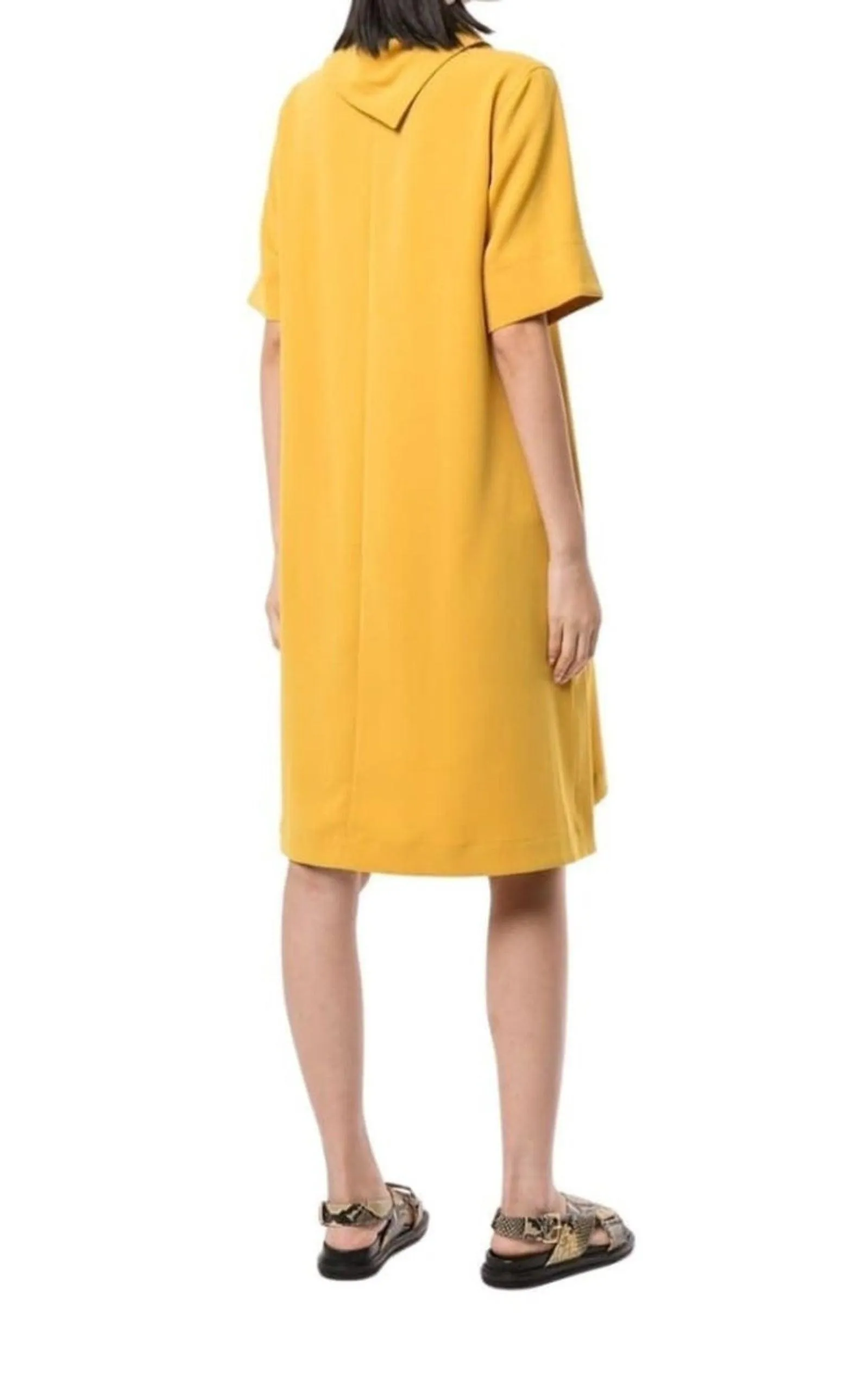 Scarf Neck Crepe Dress