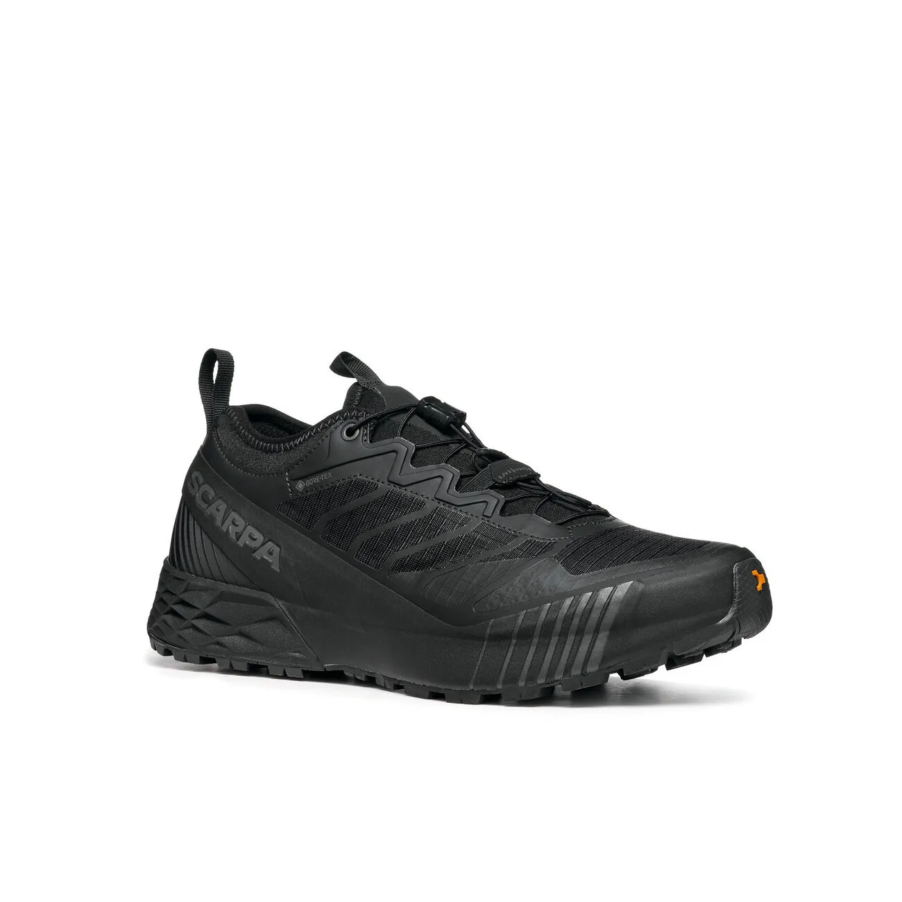 SNEAKERS RIBELLE RUN GTX Uomo Black